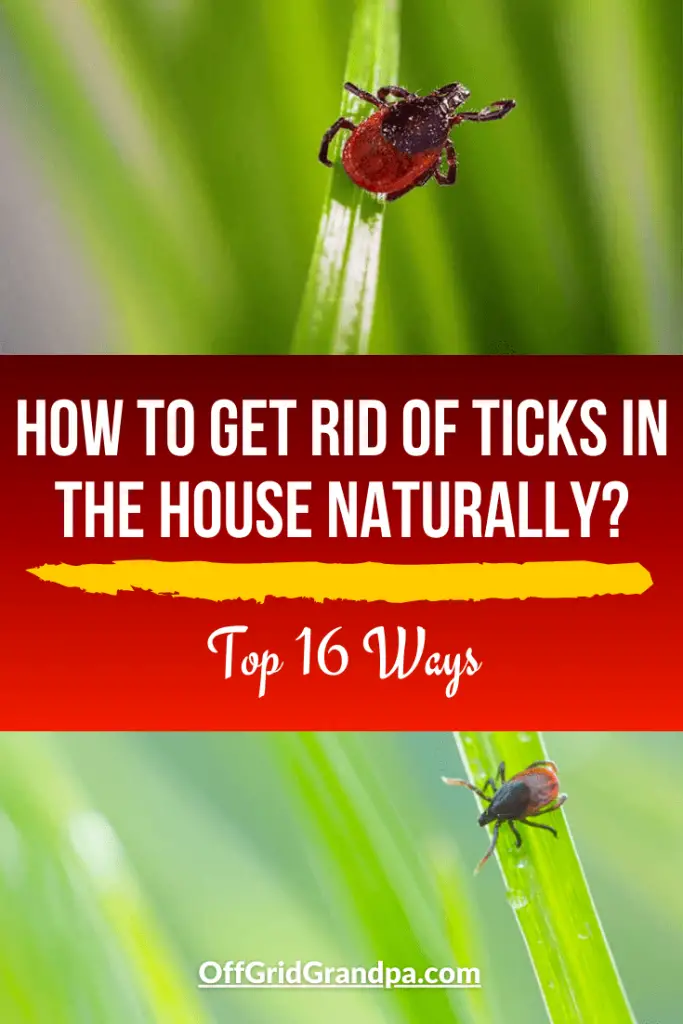 How to get rid of ticks in the house naturally? ( Top 16 Ways ) » Off Grid Grandpa - How To Get Rid Of Ticks In The House