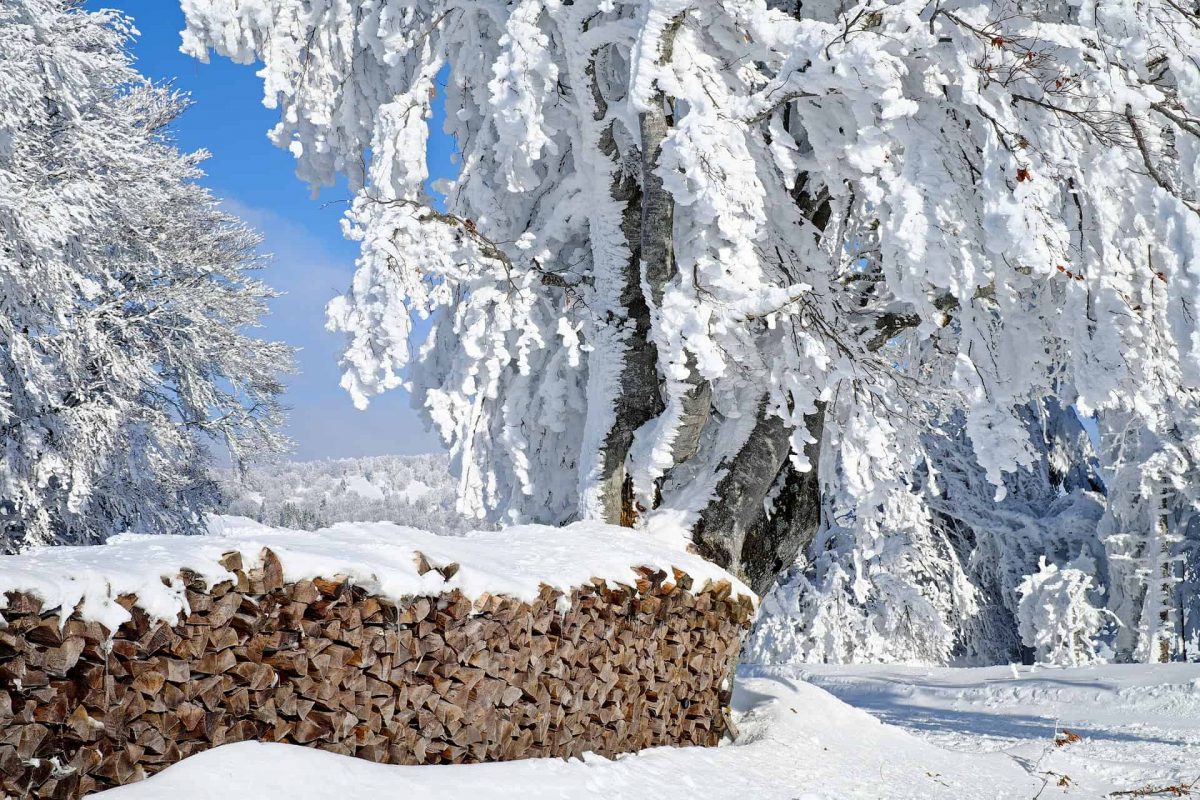 How To Store Firewood Outside In Winter ( In 6 Easy Steps ) » Off Grid