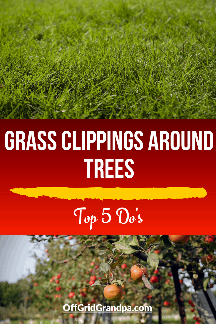 Grass Clippings Around Trees ( Top 5 Do's ) » Off Grid Grandpa