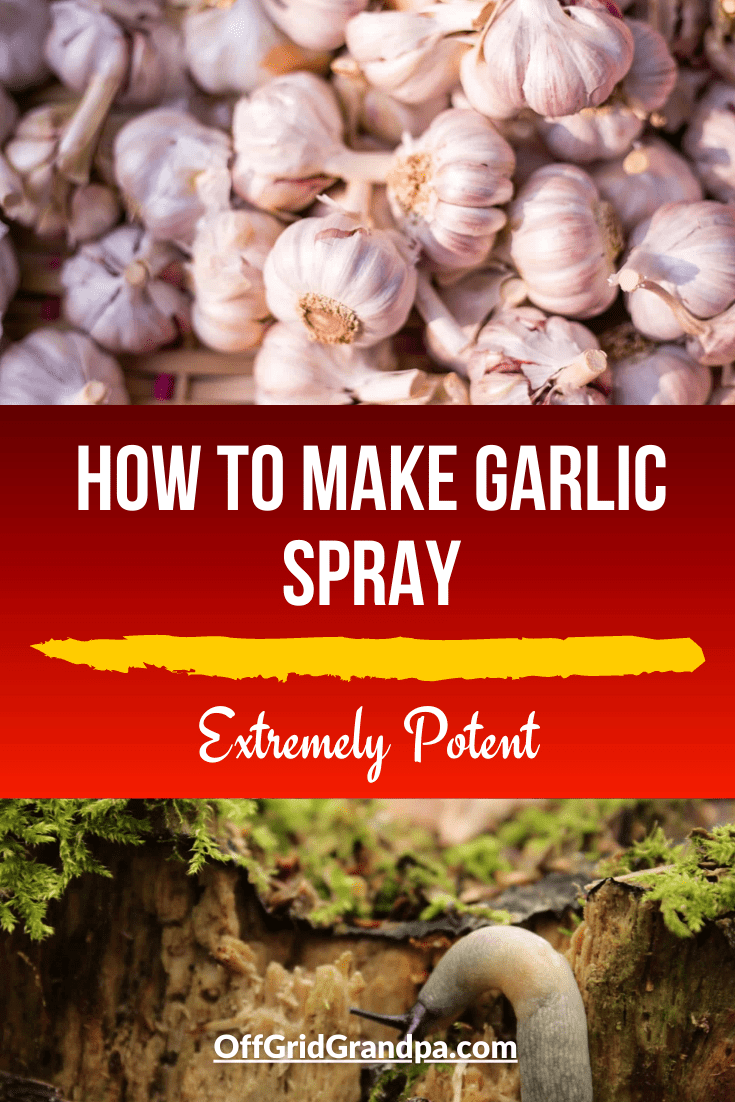 How To Make Garlic Spray ( Extremely Potent ) » Off Grid Grandpa