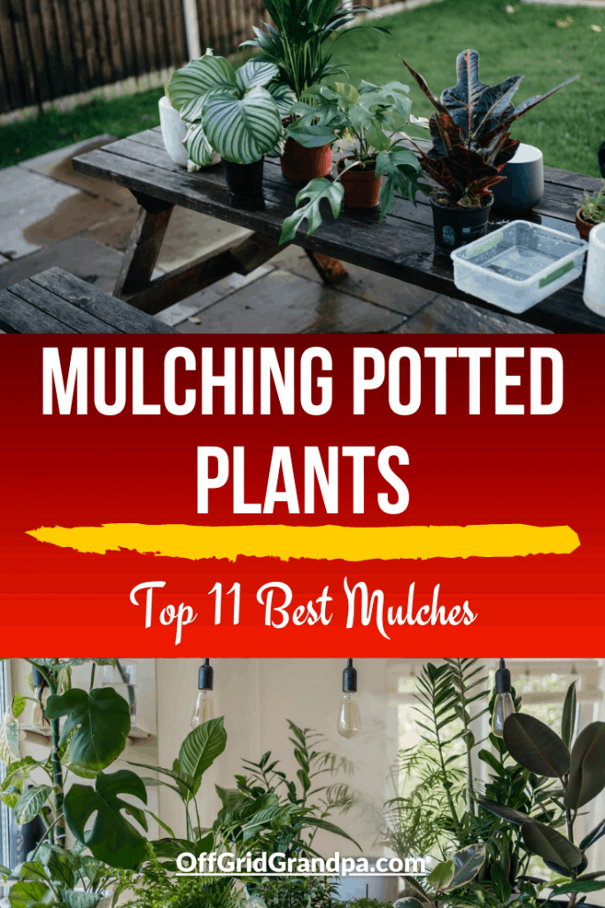Mulching Potted Plants ( Top 11 Best Mulches ) » Off Grid Grandpa