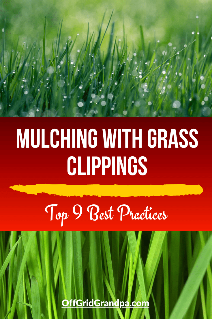 Mulching With Grass Clippings ( Top 9 Best Practices ) » Off Grid Grandpa
