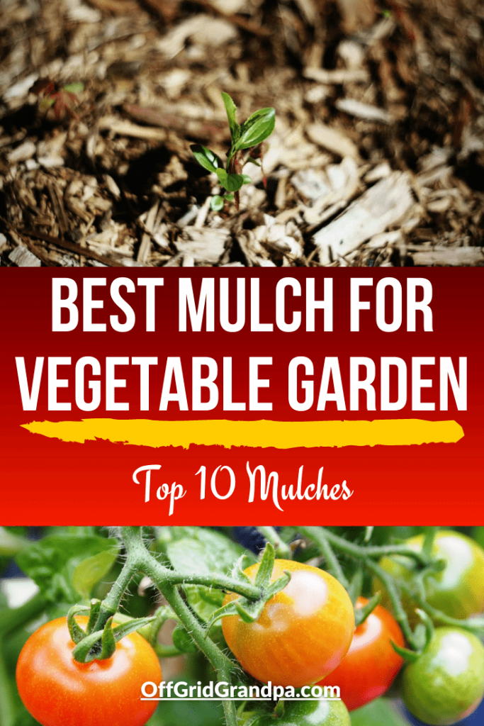 Best Mulch For Vegetable Garden ( Top 10 Mulches ) » Off Grid Grandpa