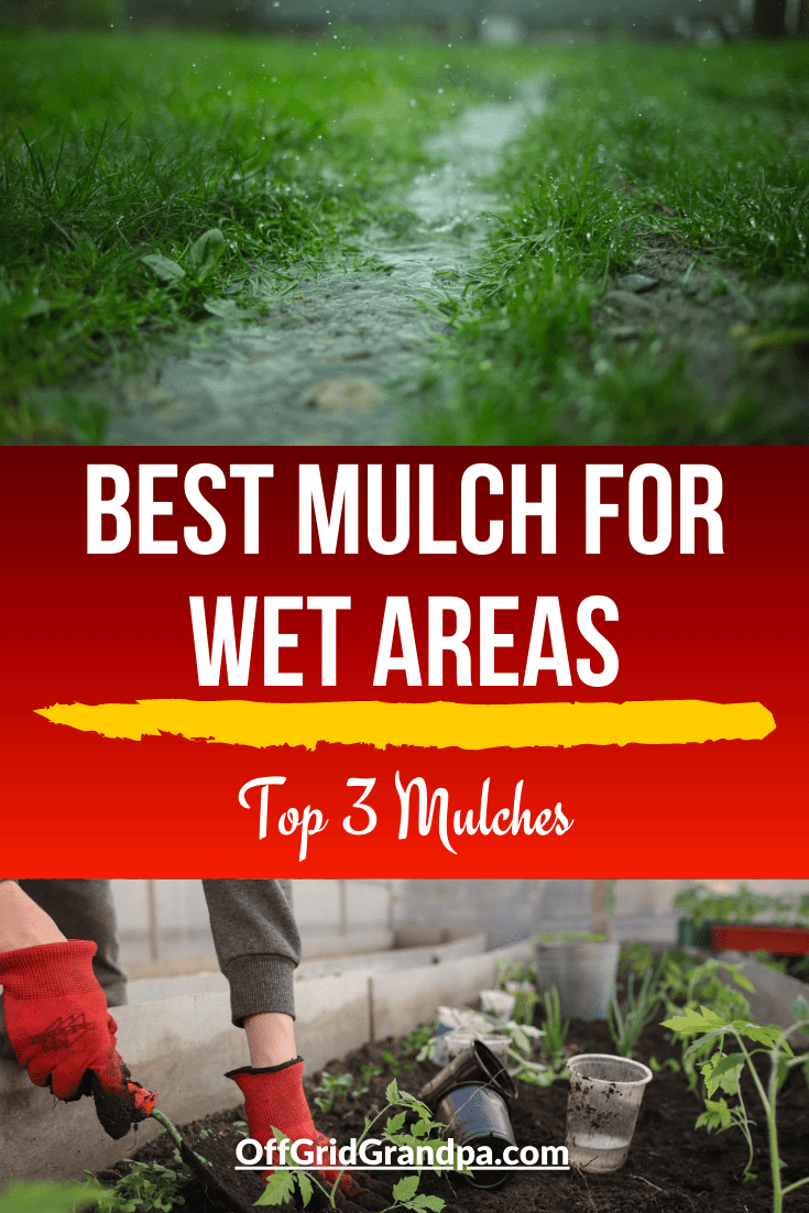 Best Mulch For Wet Areas ( Top 3 Mulches ) » Off Grid Grandpa