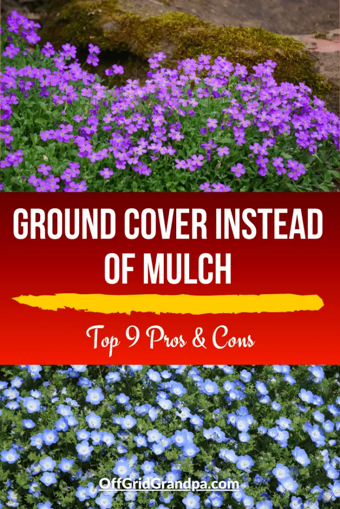 Ground Cover Instead Of Mulch Top 9, What To Use For Ground Cover Instead Of Mulch