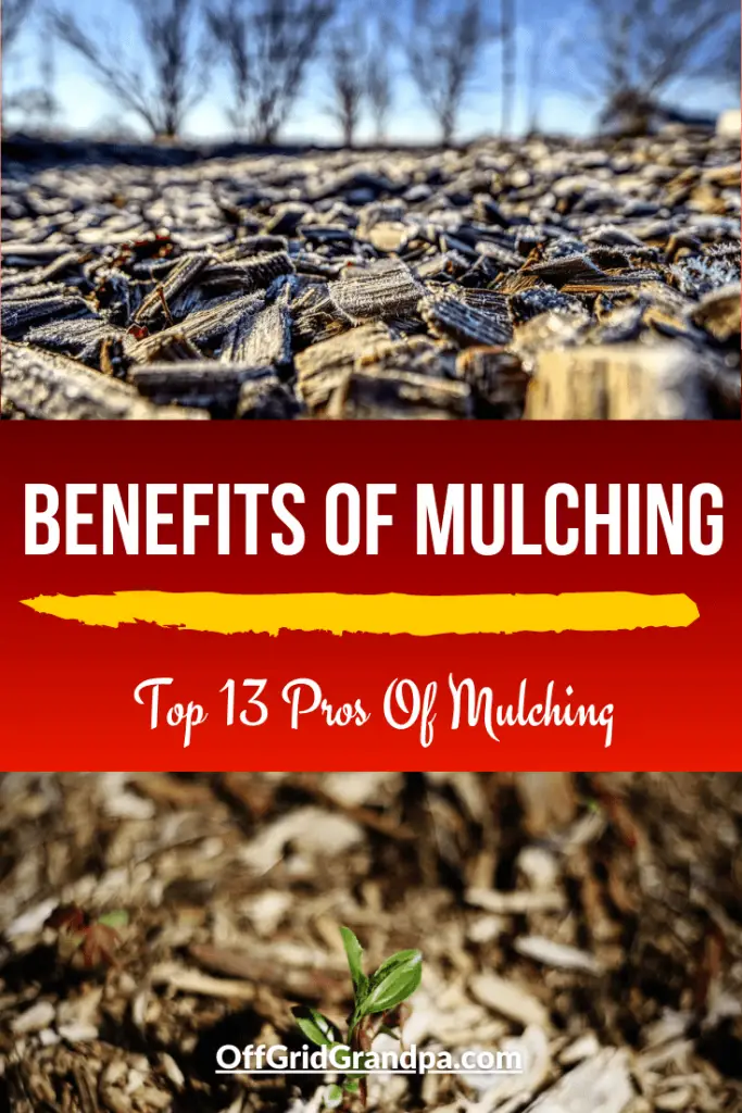 Benefits Of Mulching Top 13 Pros Of Mulching Off Grid Grandpa