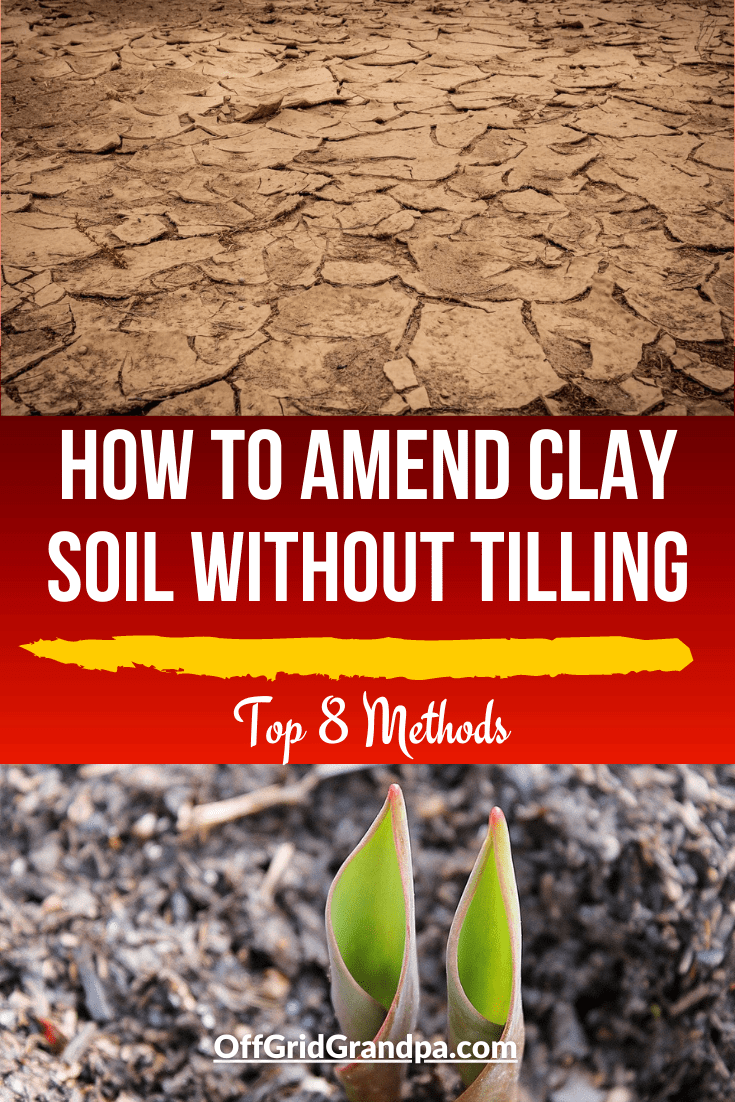 How To Amend Clay Soil Without Tilling ( Top 8 Methods ) » Off Grid Grandpa