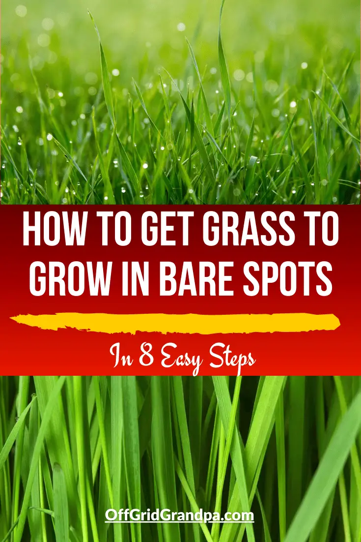 How To Get Grass To Grow In Bare Spots ( In 8 Easy Steps ) » Off Grid ...